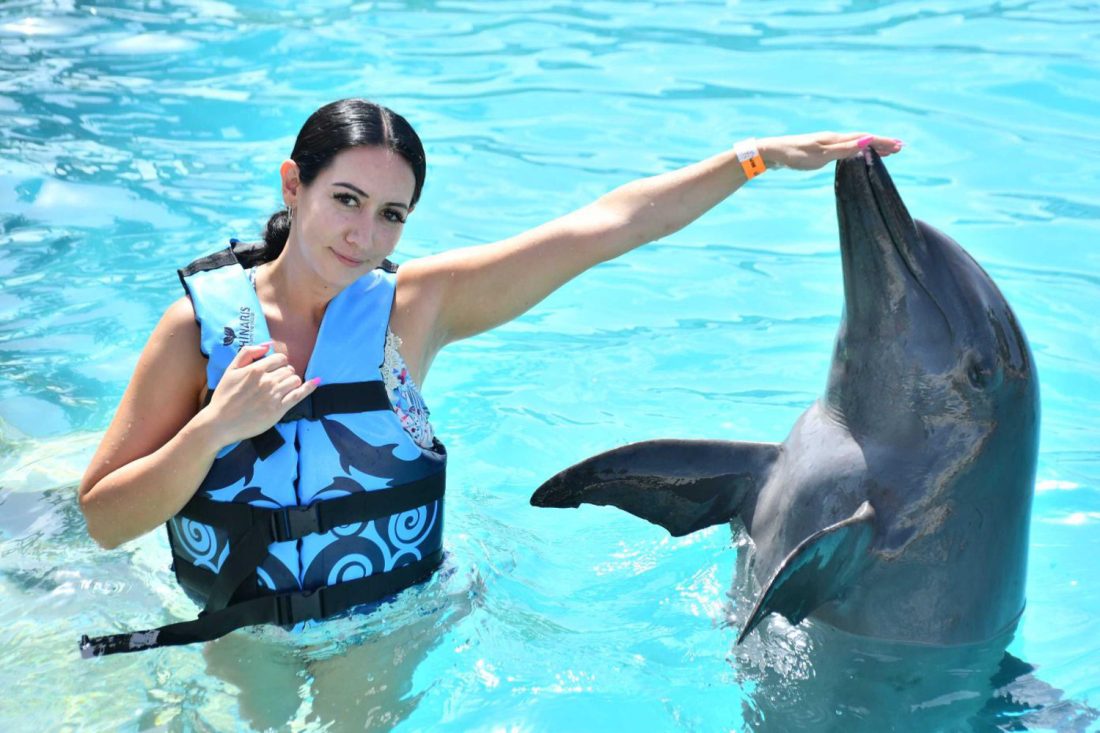 promociones en cancun para nadar con delfines