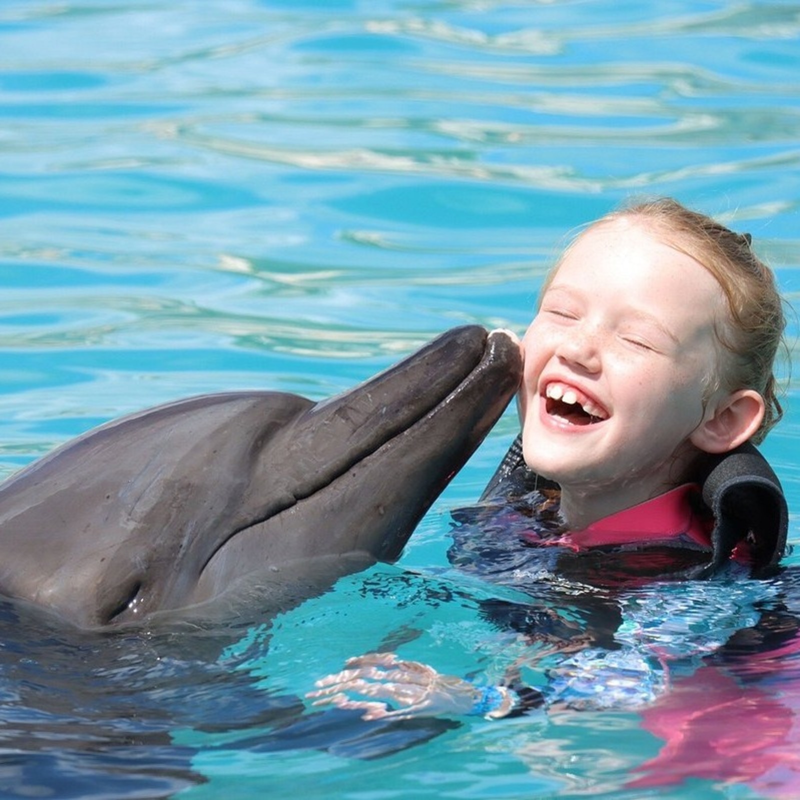 ¿Qué Puedo Hacer Un Día en Dolphinaris?