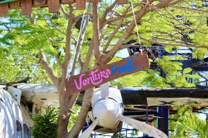 Actividades para hacer en Cancún nadar con delfines