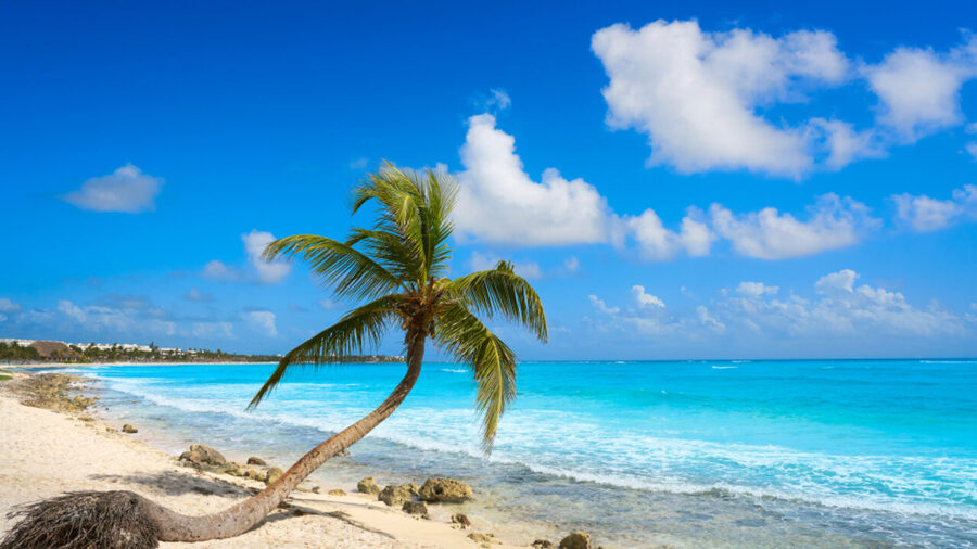 Dolphinaris nadar con delfines Riviera Maya