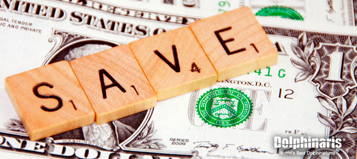 A Dolphinaris Guide to Save Money When Swimming with Dolphins