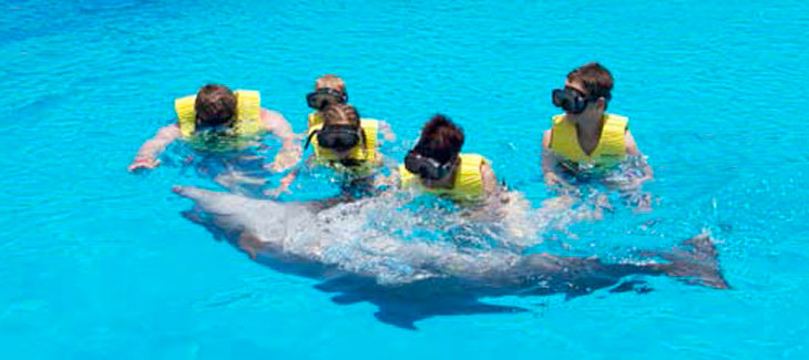 Swim with Dolphins in Riviera Maya