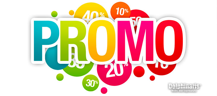 The 13 Best MONEY-SAVING Deals on Cancun Dolphin Swims