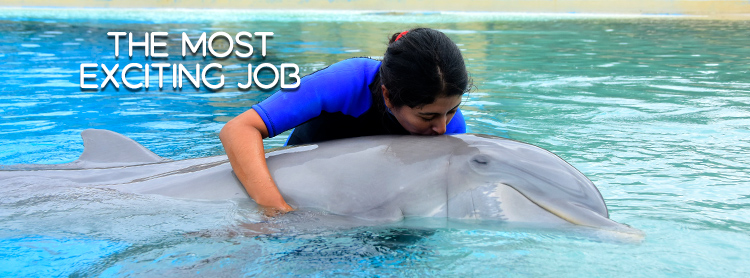 Earth’s MOST Exciting Job is… being a Dolphin Trainer in Riviera Maya!