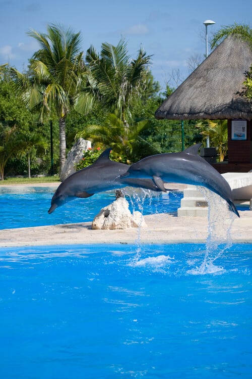 The weather in Riviera maya is warm nearly all year.