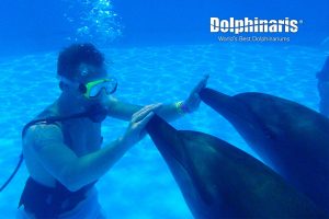 Trainer for a Day en Dolphinaris Riviera Maya Park