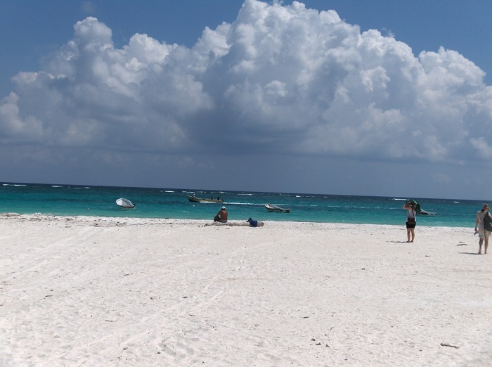 Conoce como ir a las playas de Tulum, trasladarte y ser parte del nado con delfines.