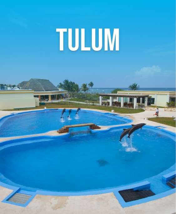 Tulum-Dolphinaris