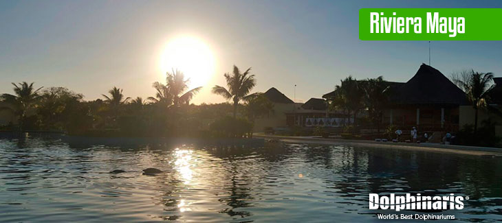 What to see in the Riviera Maya