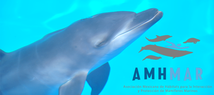 AMHMAR – Asociación Mexicana de Hábitats