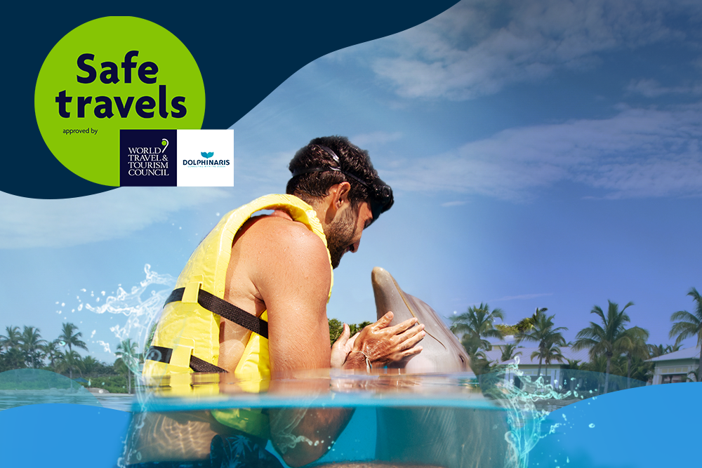 Come and experience a magical encounter in a safe place!