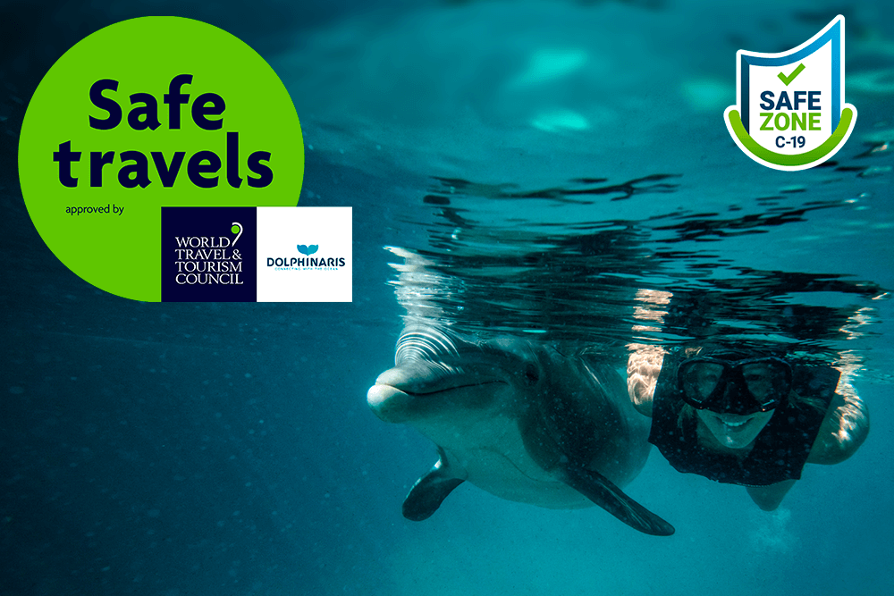 Ventura Entertainment SAFE TRAVEL