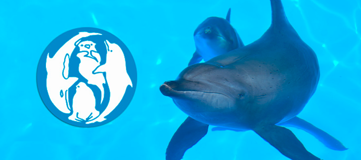 EAAM: European Association for Aquatic Mammals