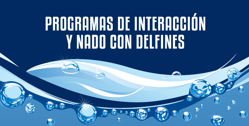 ¡Elige tu programa de nado con delfines!